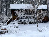 Wrightwood Cozy Cabin near Mt. High - 3-Star