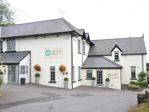 The Newbridge on Usk