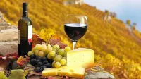 Hunter Valley Motel Hotels in Cessnock