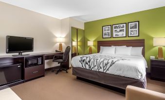 Sleep Inn & Suites Allendale