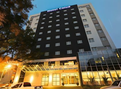 Ibis Cascavel