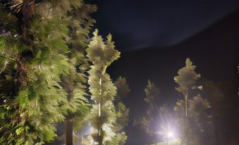 Vythiri Tea Valley I Best Hotel in Wayanad l Hotels in Vythiri Wayanad