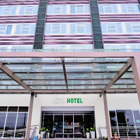 Ion Hotel