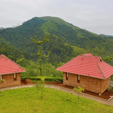 Wild Planet Jungle Resort
