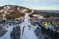 Ski-In/Ski-Out- Pool & Hot Tub -6-Person Condo on Lutsen Mountain