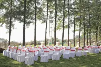 Silver Galaxy Resort - Wifi