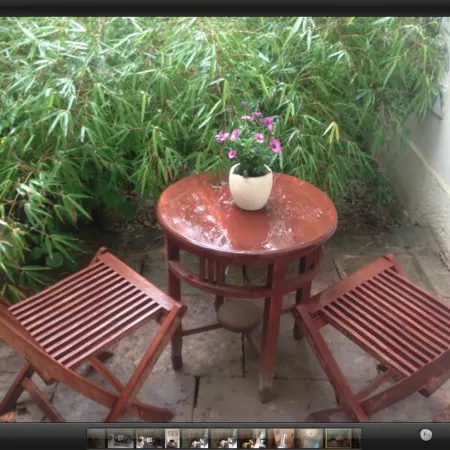 Apartmenthaus Saxonia