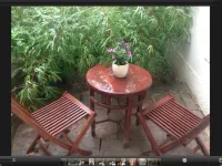 Apartmenthaus Saxonia Hotels in Bad Schandau