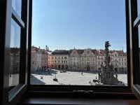 Penzion Tlusta kachna Hotels in Chrudim