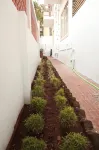 Sai Inn Mysore