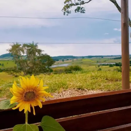 Pousada Flores de ipê