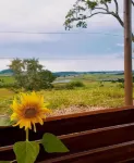 Pousada Flores de ipê - 마운틴 뷰