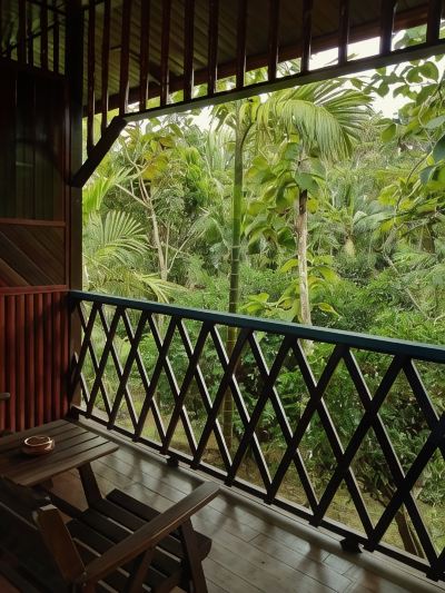 共有エリア セピロック ジャングル リゾートの写真