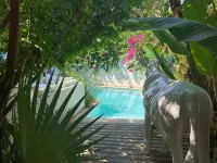 Dar Marsa Cubes - View biển