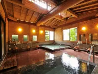 Kusatsu Onsen Nisshinkan - Suối nước nóng