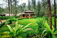 Naiyang Park Resort - 나이양 파크 리조트