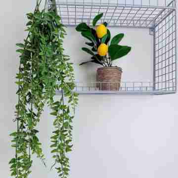 Slina Hotel Brussels Others