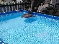Family Villa Syariah C-33 with Minipool Hotels in Junrejo