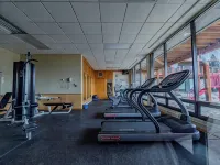 Lola’s Lodge Ski-In/Ski-Out 3 bedroom Lodge near hiking/golf Hotels in Lutsen