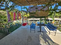 Homestay Sen & Zen Villa Vung Tau