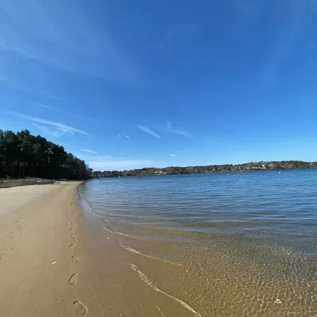 Beachfront - Sauna - Screened Patio - 2 King Beds - Dogs Encouraged!