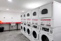 Modern 1BR King in El Golf | Metro + Fast WiFi