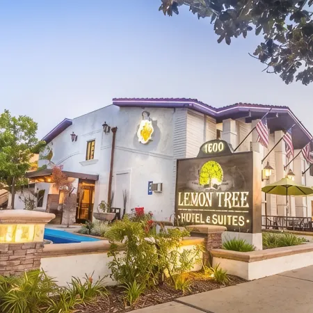 The Lemon Tree Hotel