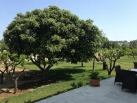 Masseria Carignani