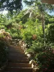 Sea Cottage - Charming and Romantic with a Stunning View