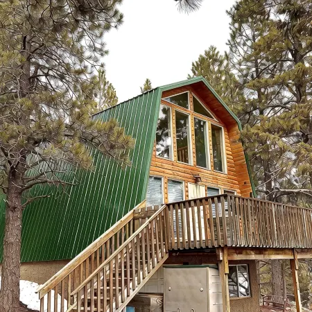 New! Cozy Bear Cabin - Fully Remodeled