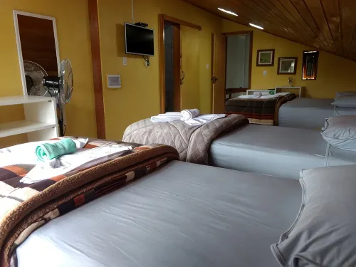 PALM TREES HOUSE with KIOSK + DECK (SERRA GAÚCHA) - Homestays