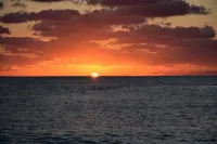 Beautiful 3 BR Oceanview Townhouse in Bimini Cove! - Homestays