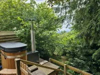 Rowan Tree Lodge with Hot Tub, a beautiful Woodland Retreat in Shropshire Hotels in Ludlow