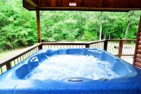 The Wild Buck, A Secluded Cabin that Borders the National Forest