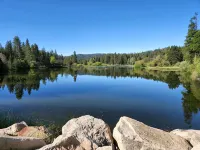 Cheerful 4-Bedroom Cabin with Hot Tub