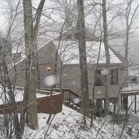 COZY SKI COTTAGE--SKI IN SKI OUT