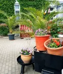 Vacation in the townhouse "Villa Kunterbunt" - 3-Star