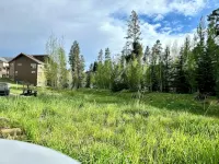 Winter Wonderland! Luxury Mountain Haven, Ski, Board, Snowshoe, Tube & Soak! - Balkoner