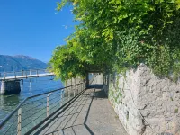 Il Gatto e la Volpe Foresteria Lombarda Hotels in Lierna