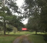 Log Cabin near Ocala and World Equestrian Center ideal for family retreats. - Hytter