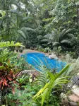 Wait-a-While Eco Retreat - Pools