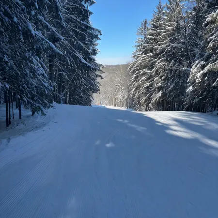3-bedroom chalet in marvelous Ellicottville with WiFi, sauna, deck and grill