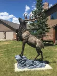 Cozy Cabin with Beautiful Views. Minutes from Downtown Custer - con encanto