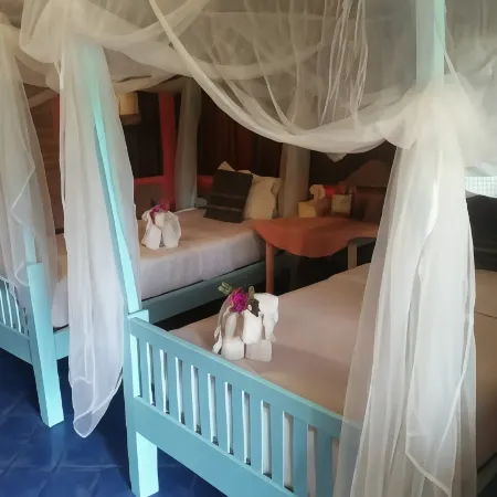 Orchid Hibiscus Guest House