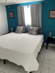 Kayak to the Gulf with Dolphins - Deep Water Canal Home - Wifi