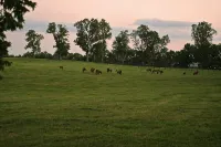 Renovated Train Station on Thoroughbred Horse Farm - Wifi