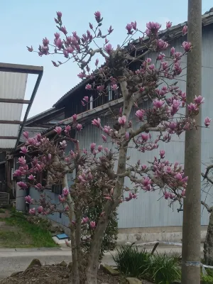 南知多Resea酒店 - 2星級
