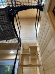 Yeti's Tree House: Where Dreams Come True - 2 ดาว