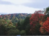 Sturbridge Country Inn - Wifi