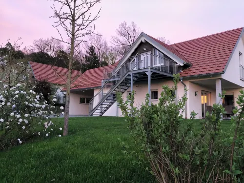 New barrier-free vacation apartment in the Rhön - 民宿